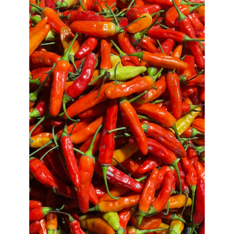

Cabe Rawit Merah Serba 5.000