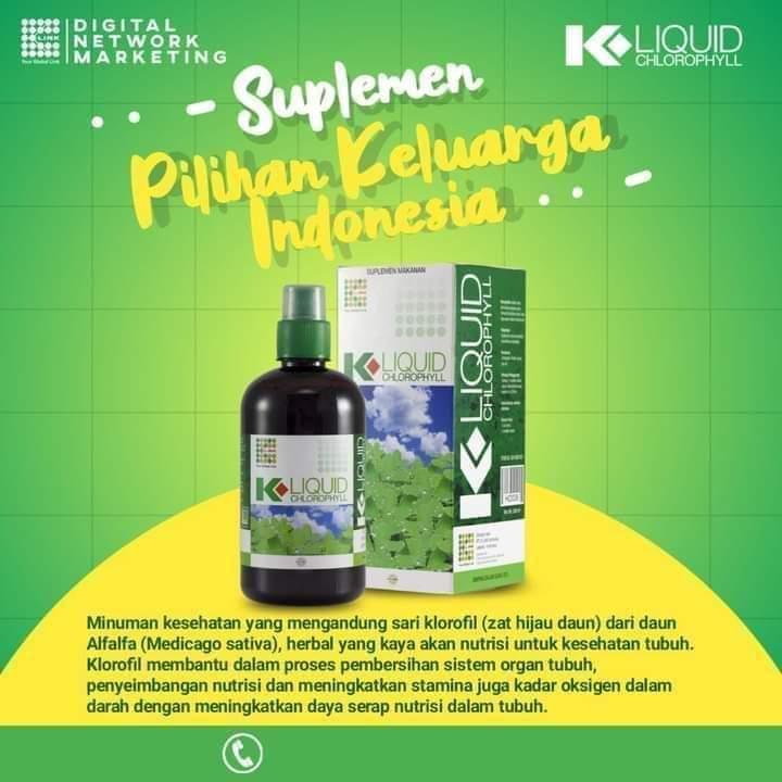 Klorofil Klink Liquid Klorofil K-Link Original