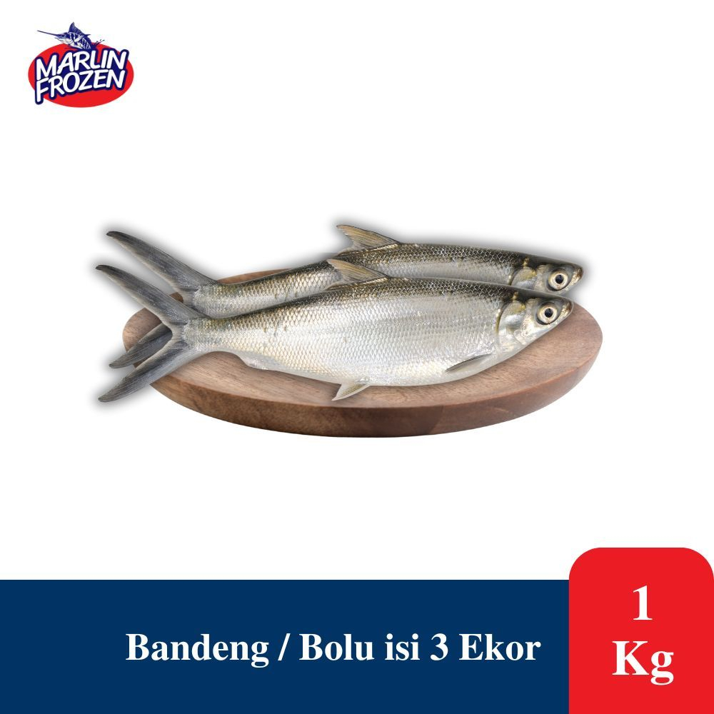 

Ikan Bandeng Bersih / Ikan Bolu Belum Bersih 1 kg