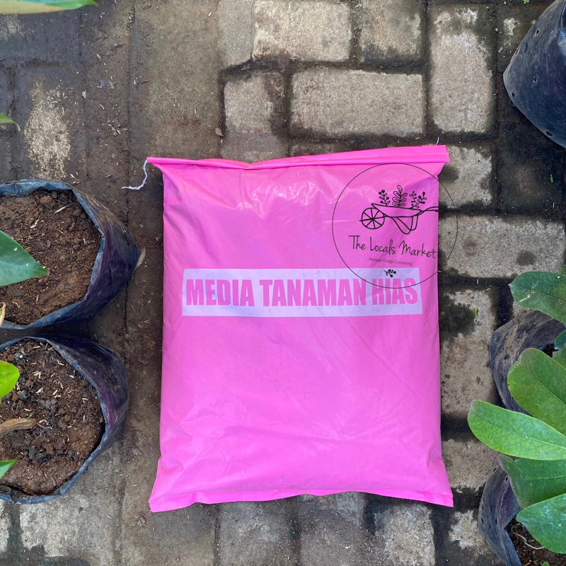 media tanam tanaman hias trubus