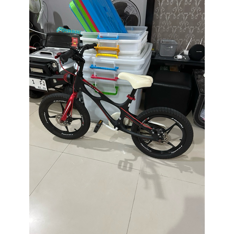 preloved sepeda anak