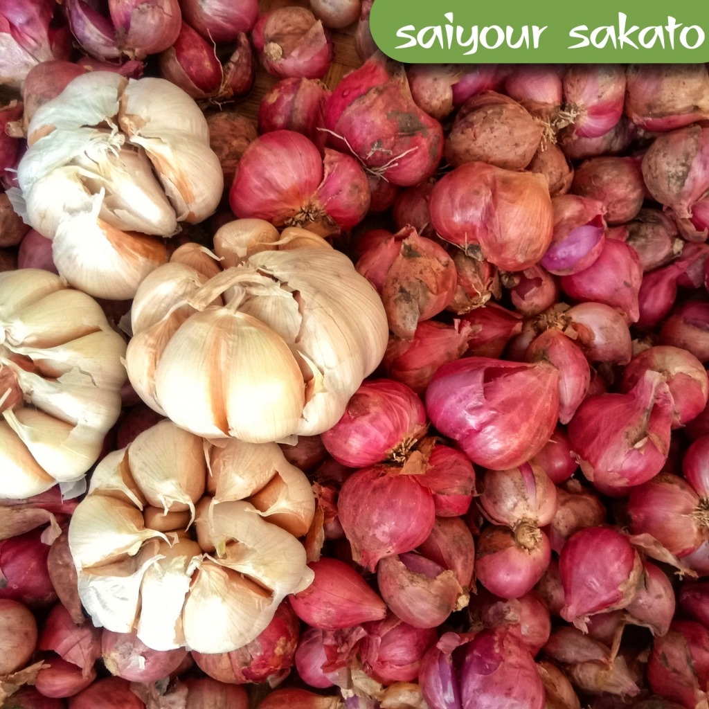 

Bawang Merah Brebes Campur Bawang Putih 250 gram - Saiyour Sakato