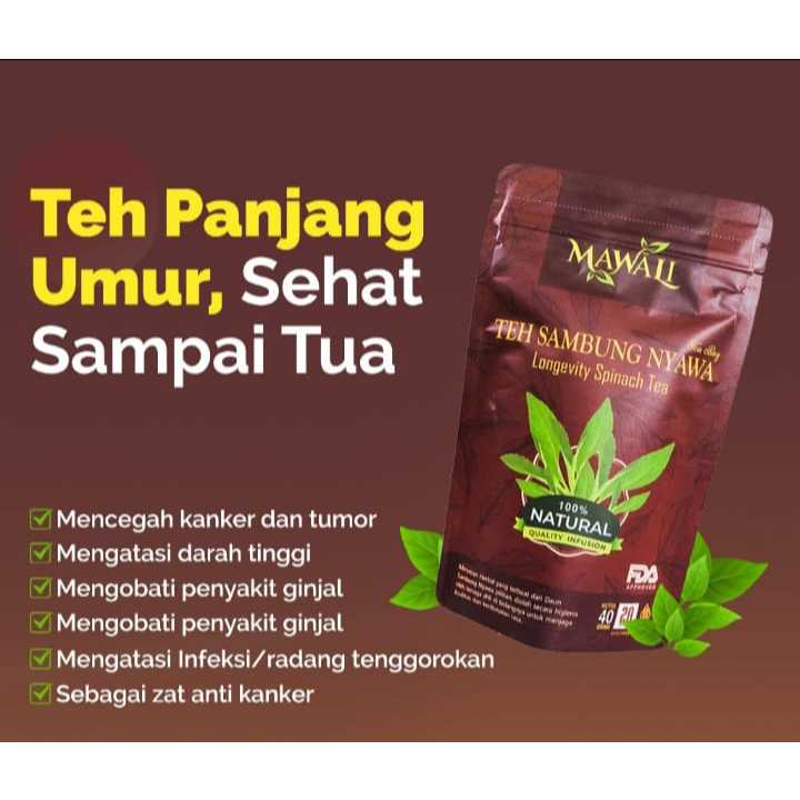 

Mawali Teh Herbal Sambung Nyawa Original isi 20 tea bag 100% organik