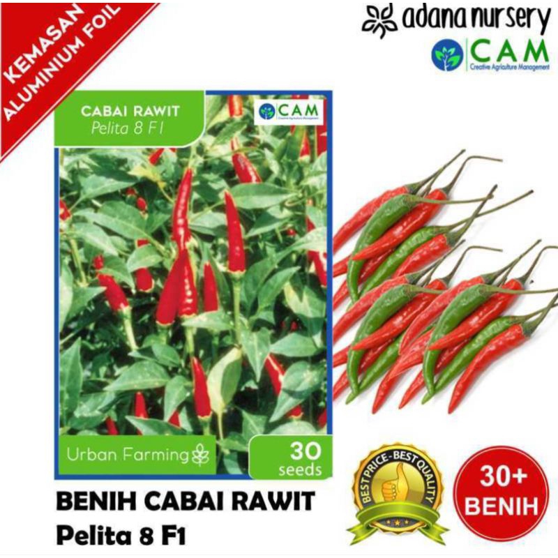 

biji cabai rawit hijau isi 50