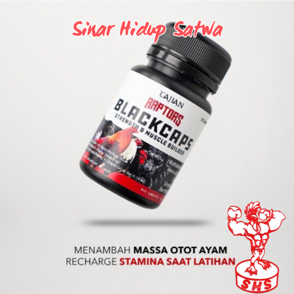 Blackcaps Doping kapsul ayam aduan