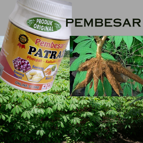 Pupuk Pembesar Umbi  Singkong Patrazol 450 gr