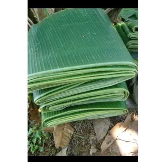 

Daun Pisang 1 Ikat
