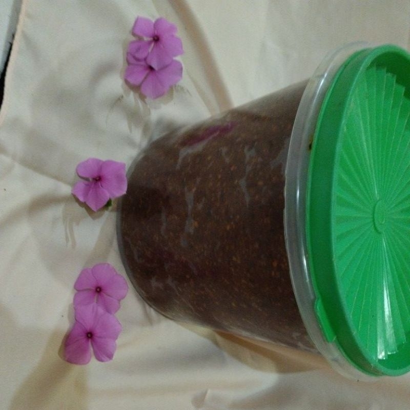 

sambel pecel mbk sri