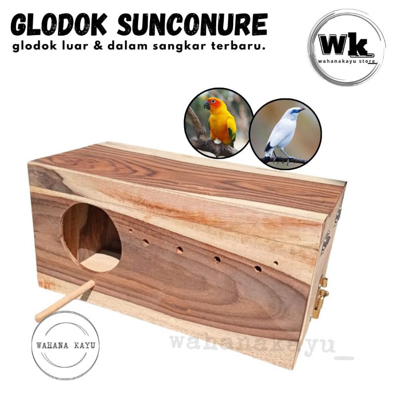 Glodok burung sunconure, jalak, falk | glodok burung jumbo luar sangk