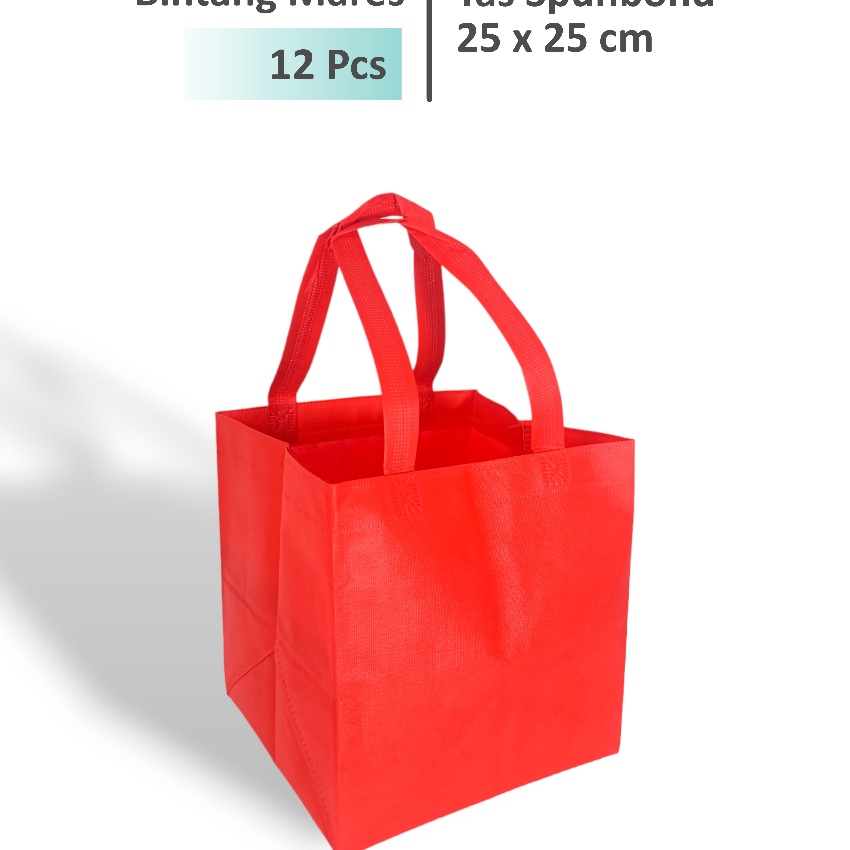

KI3 12 Pcs Tas Hajatan 25x25 Tas Box Nasi 25x25 Tas Spunbond