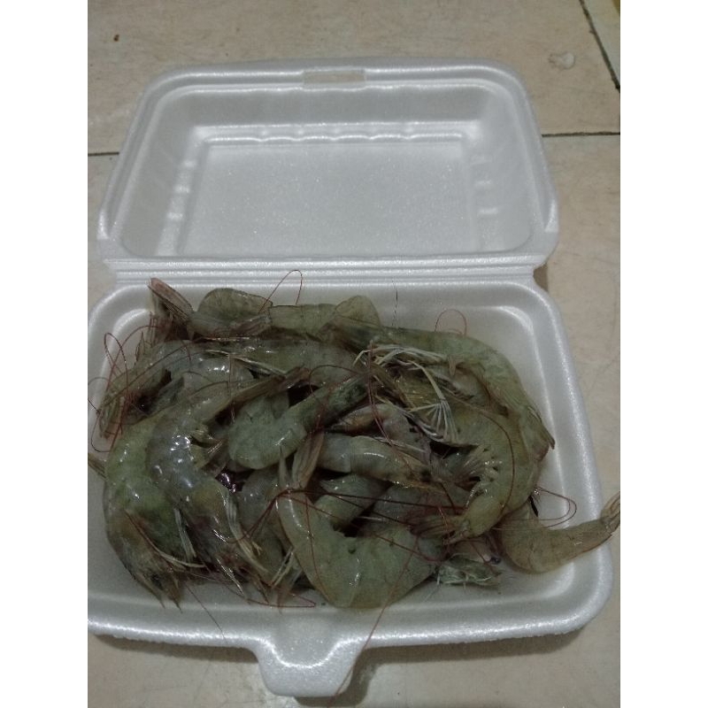 

Udang fresh/cumi fresh/kerang kupas 250g/udang rebon 20g