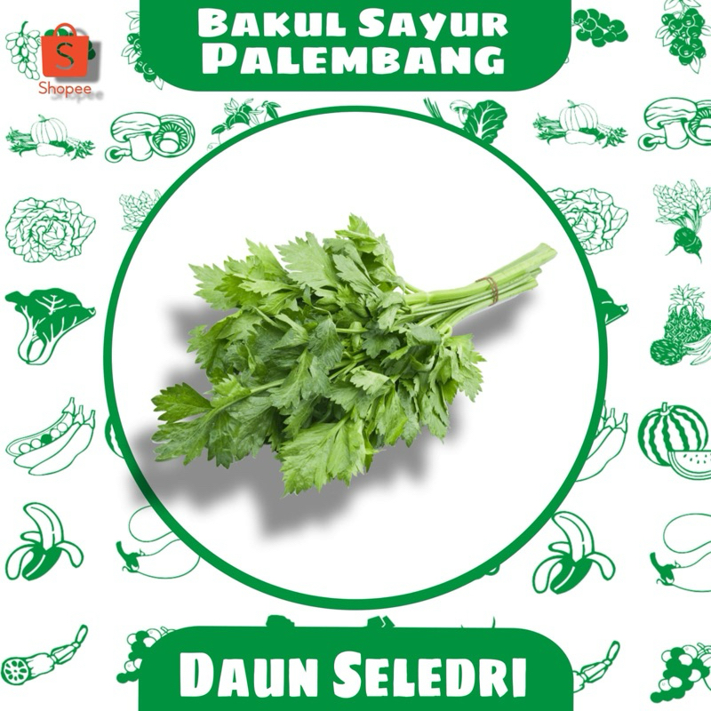 

Daun Seledri (PALEMBANG)
