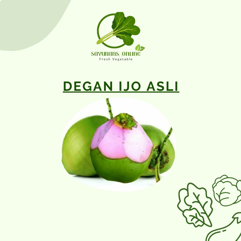 

degan ijo asli utuh