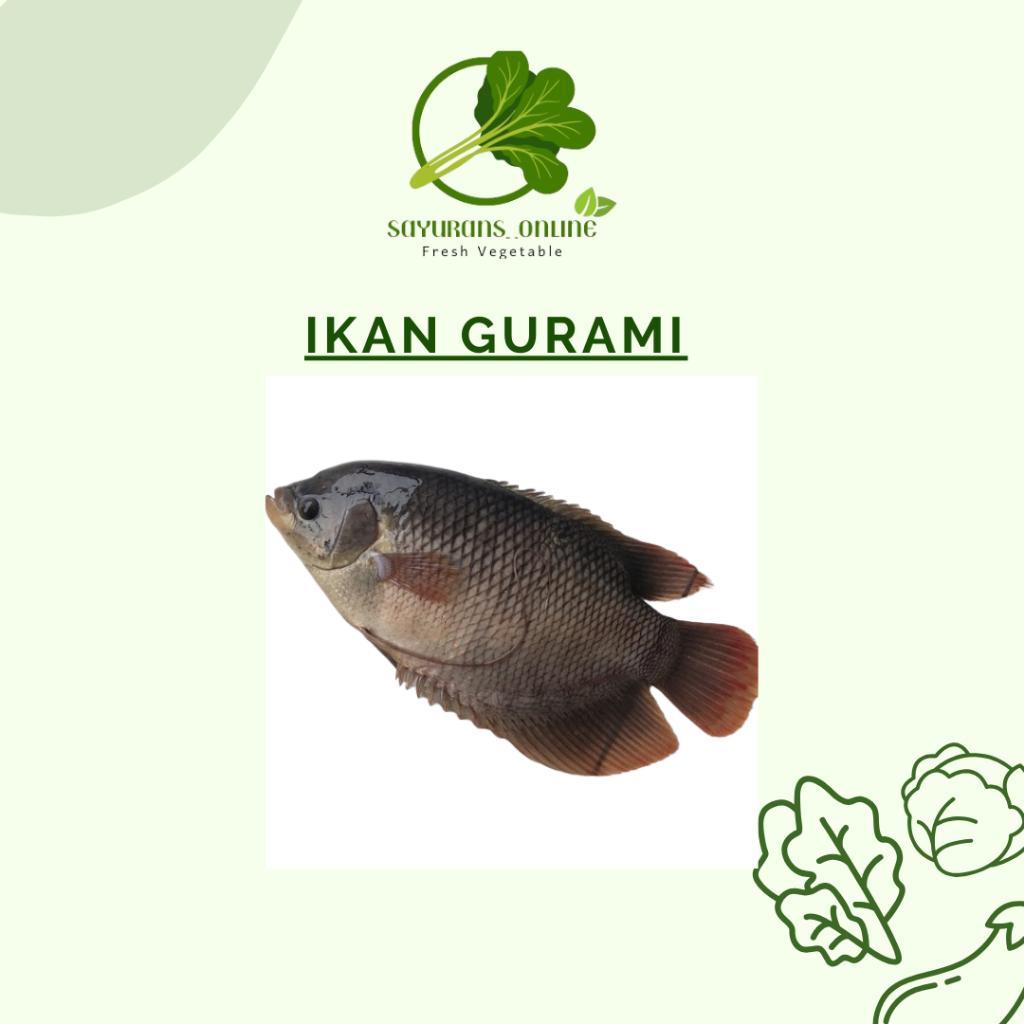 

ikan gurami fresh 1kg