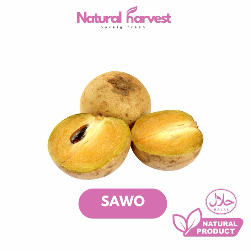 

Buah Sawo Madu Super Lokal | NaturalHarvest!