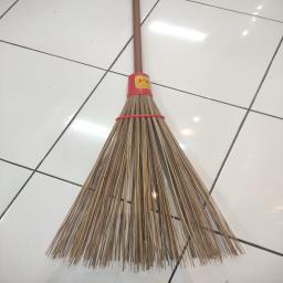 Sapu Ijuk Taman Oval Dua Macan