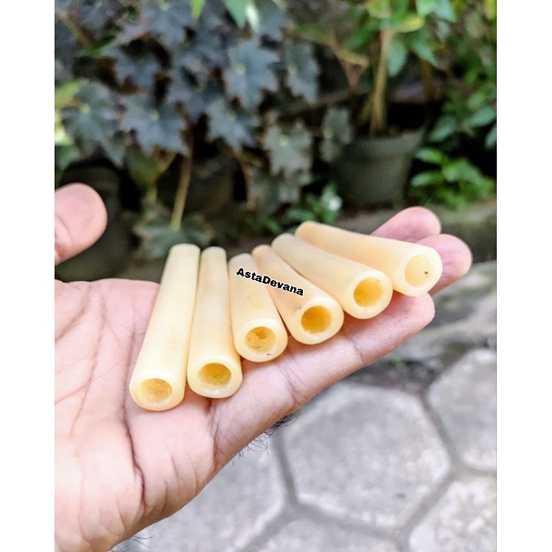 Once tulang asli tebal lobang multi 10cm 12cm | ready tanduk kerbau rusa kayu setigi dll