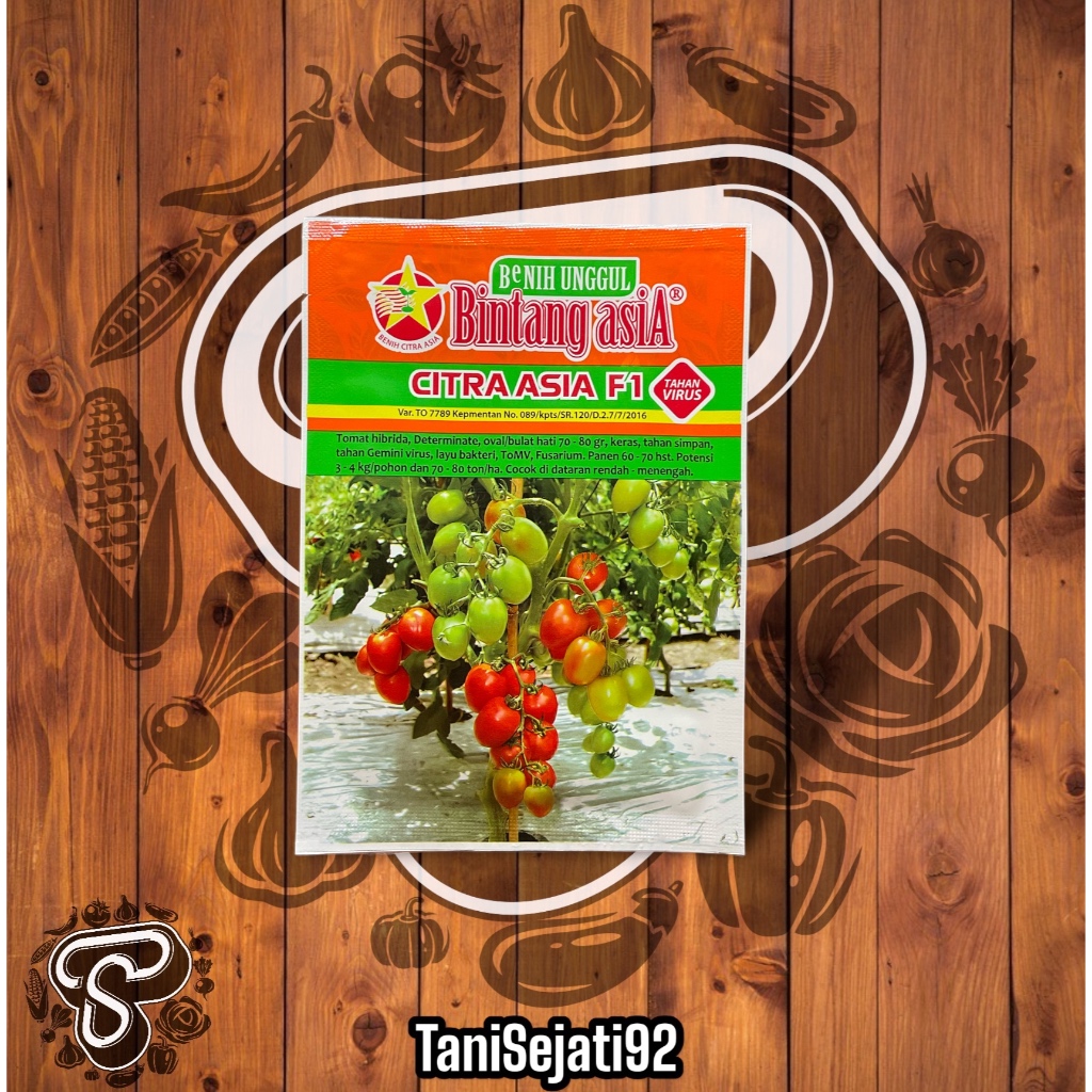 BENIH TOMAT CITRA ASIA F1 5GR