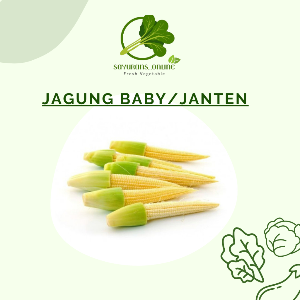 

janten / jagung baby 250gr
