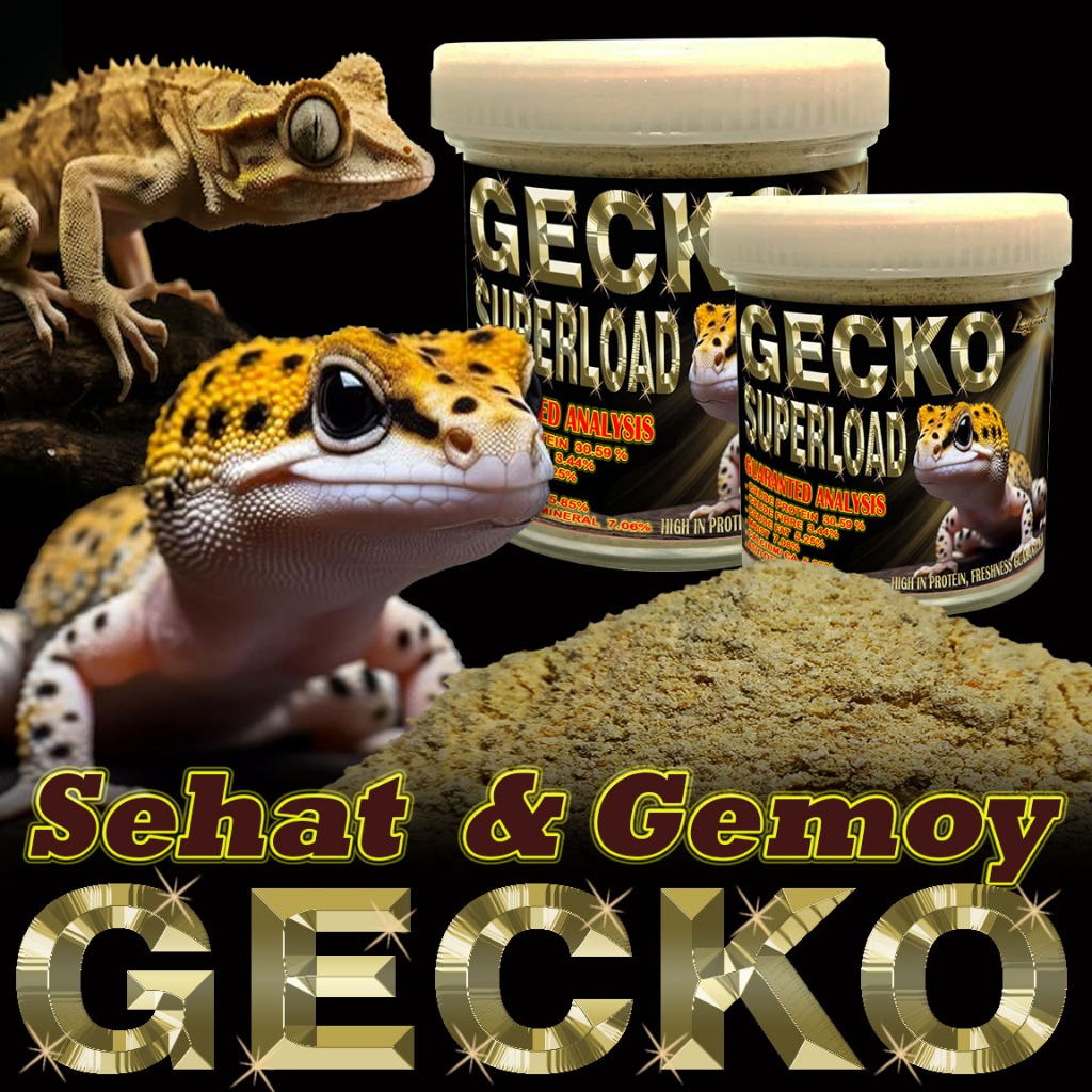 15GR GECKO SUPERLOAD FEEDER GUTLOAD ESSENTIAL SUPLEMENT FOOD PAKAN LEOPARD GECKO WHEELERI GEKKO CRES