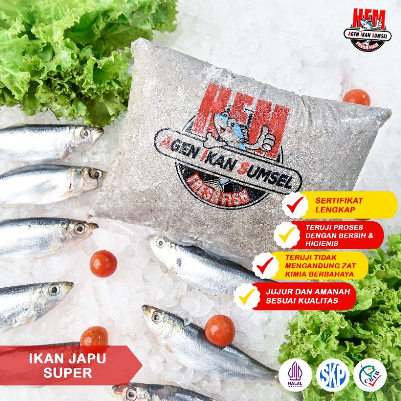 

Ikan Giling Japu Super [WAJIB PACKING STEROFOAM BACA DESKRIPSI]