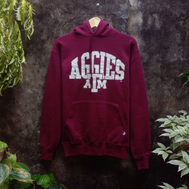 Hoodie RUSSELL ATHLETIC Vintage