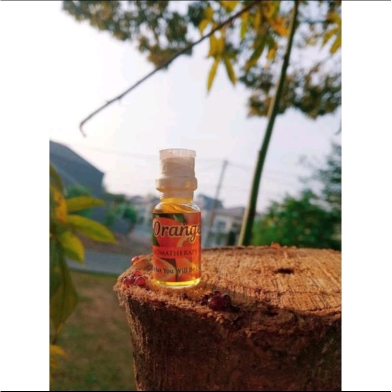 Minyak Aromaterapi Bakar Oil Burner Diffuser Humidifier