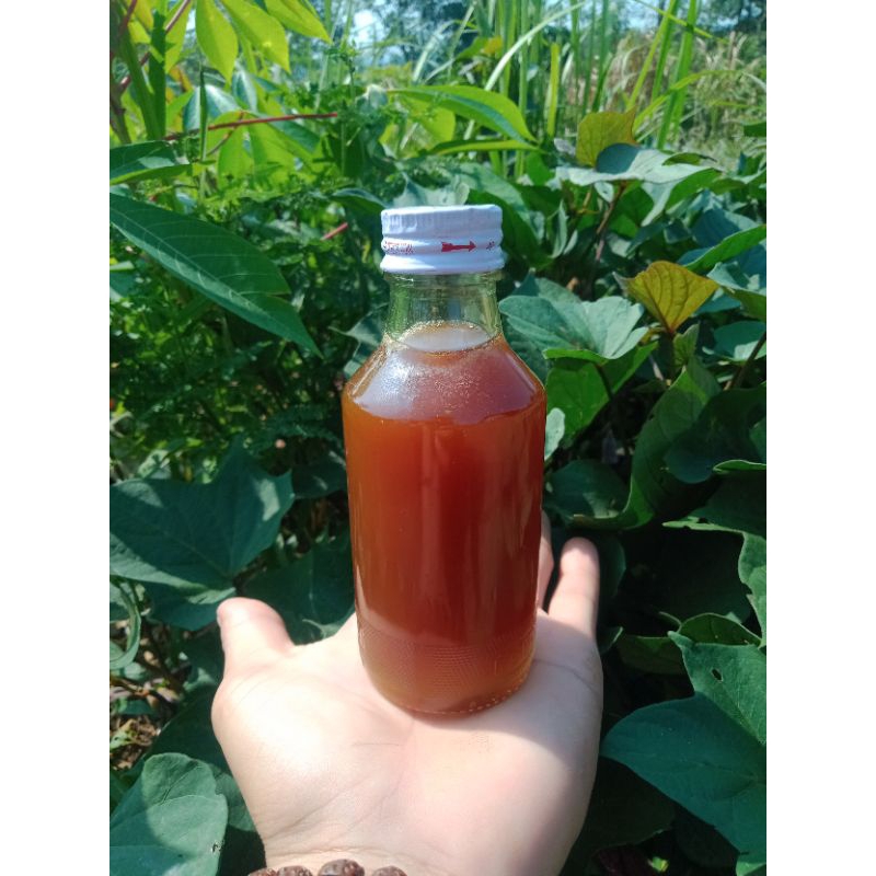 

madu klanceng levicep rasa manis asam beepolen (150ml)