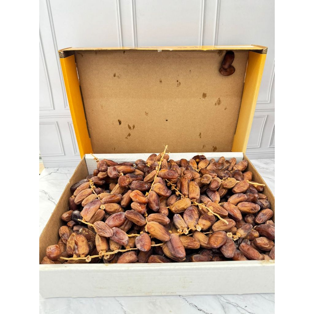 

Kurma Tunisia Tangkai Palm Deglet Nour Original 100%