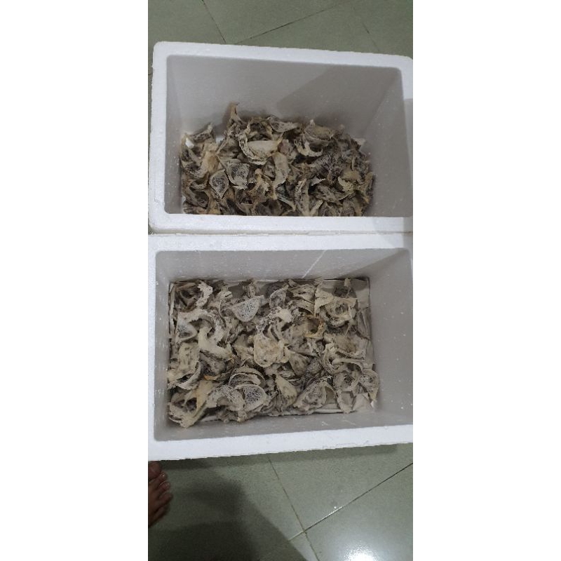 

Sarang Walet Per Gram