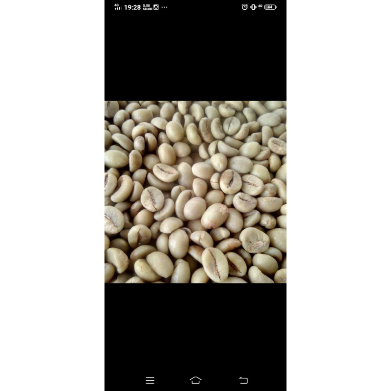 

grade 1 robusta