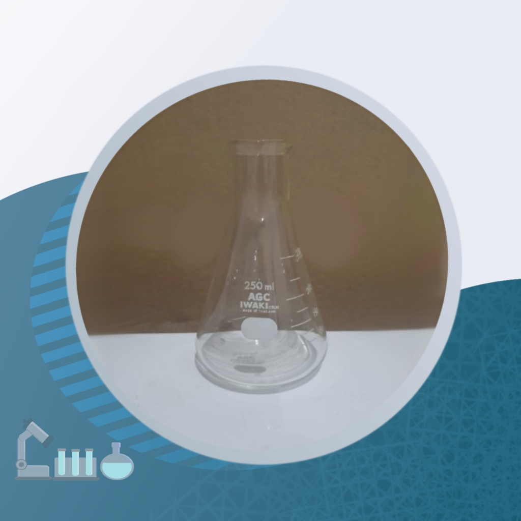 IWAKI Erlenmeyer Flask - 250ml