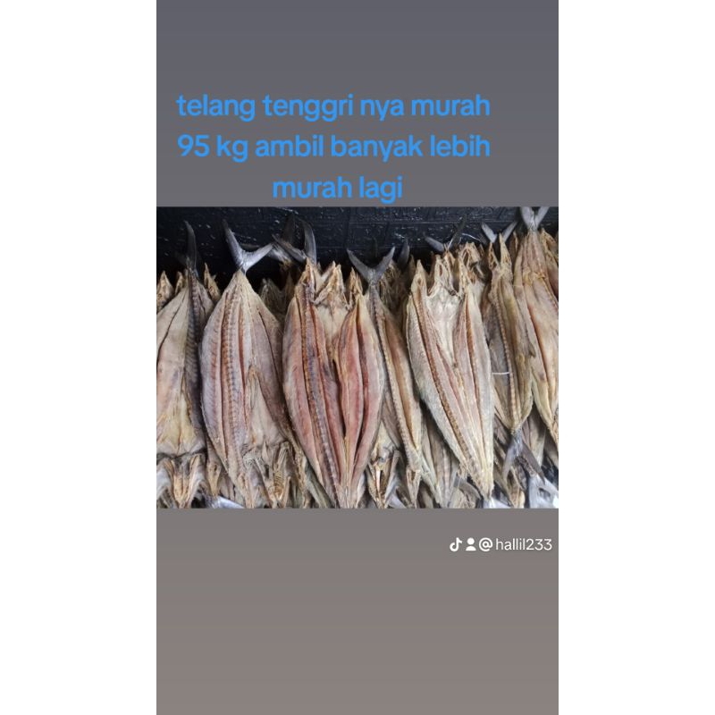 

ikan asin telang tenggiri