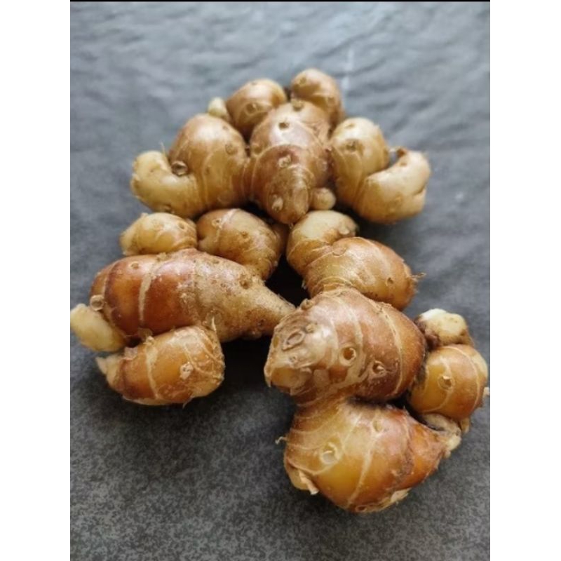 

kencur segar 1kg