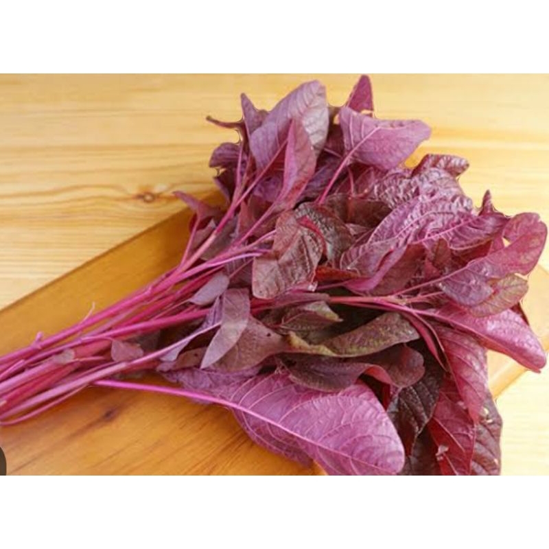 

1000 Biji Bayam Merah