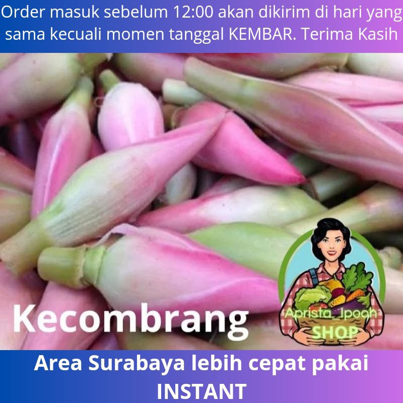 

JATIM ONLY - Kecombrang