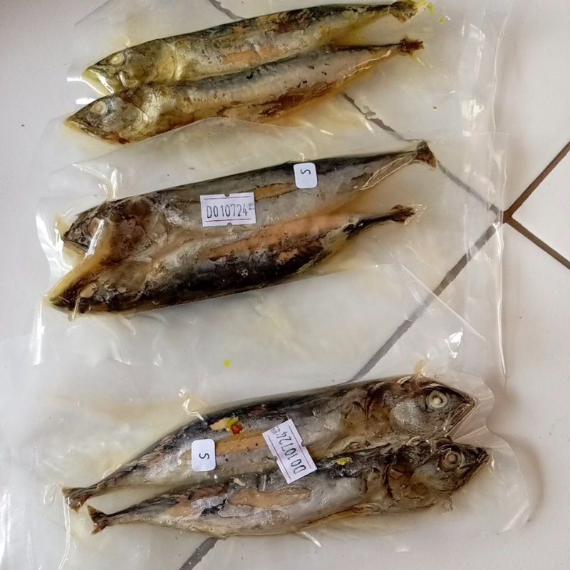 

ikan malalugis