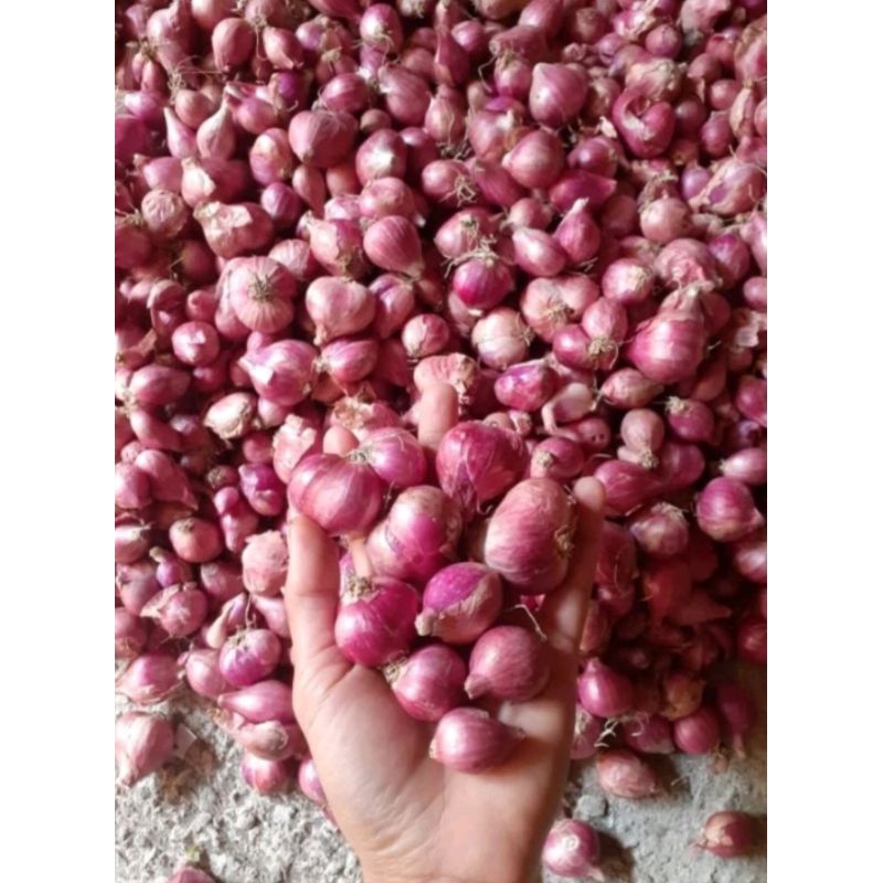 

bawang merah 1kg lokal