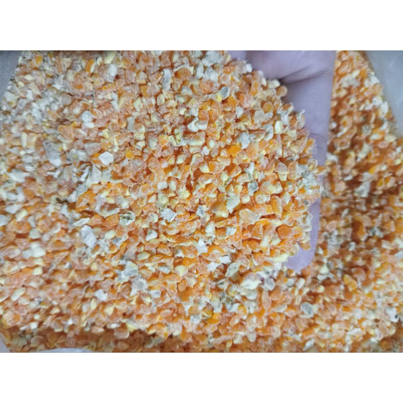 

Beras Jagung 1 Kg murah