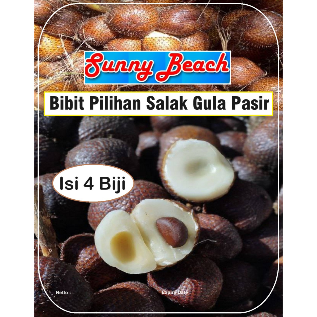 Bibit Pilihan Salak Gula Pasir | Biji Benih Salak Gula Pasir | Bibit Salak Manis