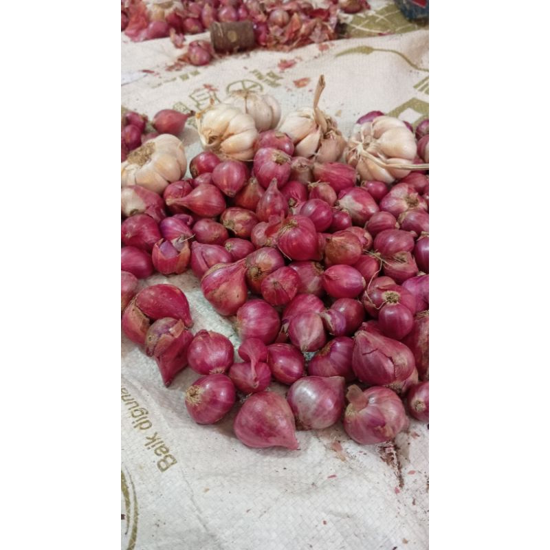 

Bawang merah asli probolinggo 1kg