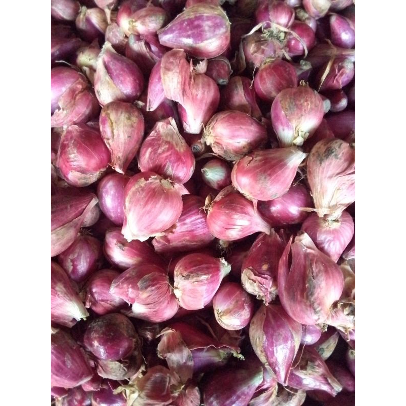 

bumbu masak bm brebes