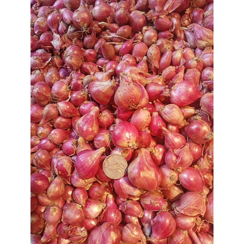 

Bawang Merah Murah 1kg