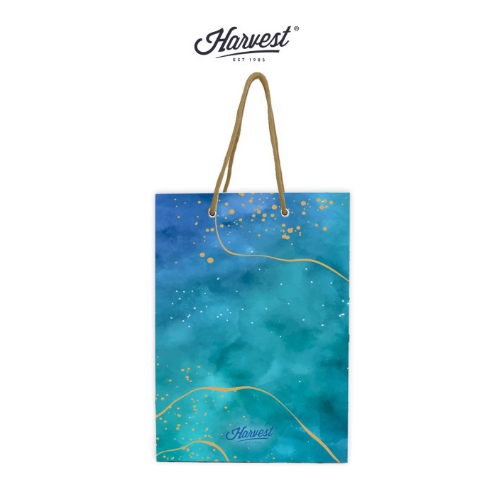 

FLASH SALE Paper Bag Harvest L Sugar Pop Sky Blue