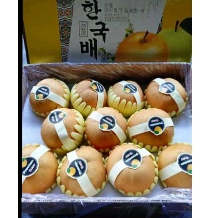 

PROMO PEAR SINGO