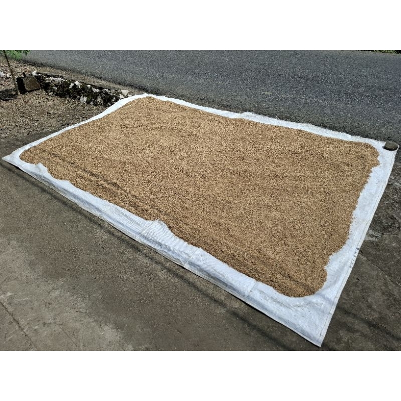 TERPAL TIKAR AMPARAN (gratis karung) MENJEMUR PADI KACANG DAUN SERBAGUNA