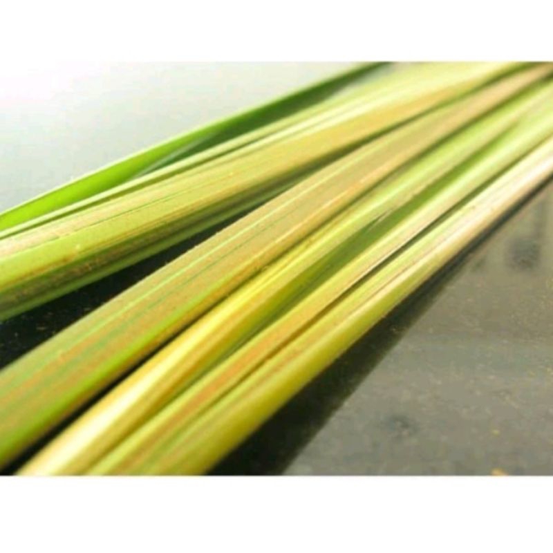 

Daun kelapa muda isi 20 batamg (40 helai) daun segar