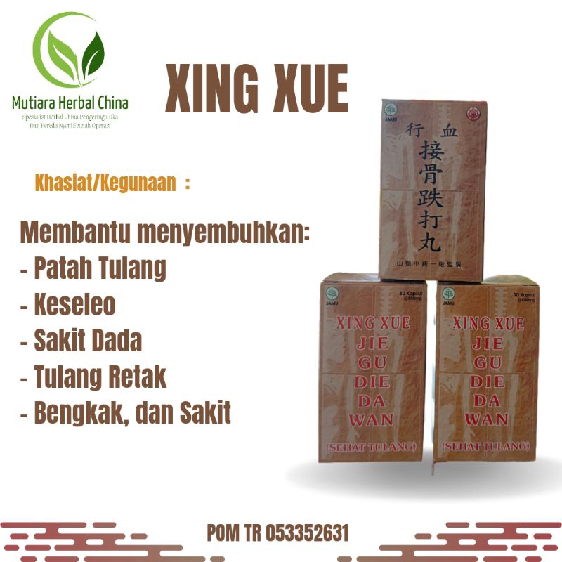 Mutiara Herbal China ~SEHAT TULANG XING XUE JIE GU DIE DA WAN' Obat Patah Tulang~