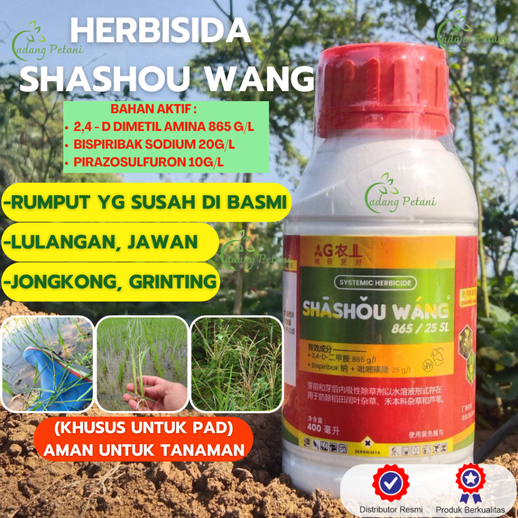 Herbisida Racun Obat Rumput Gulma Shashou Wang Pembasmi Lulangan Jongkong Jawan Pada Tanaman Padi Am