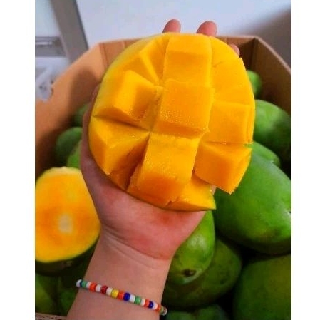 

Mangga Harum Manis Fresh 1kg